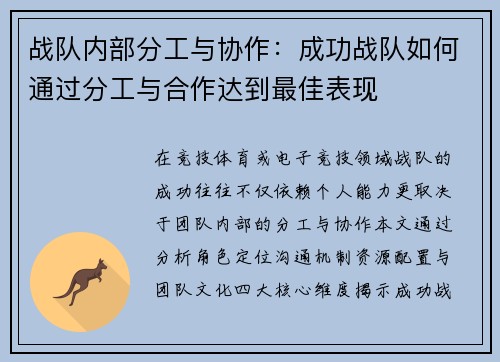 战队内部分工与协作：成功战队如何通过分工与合作达到最佳表现