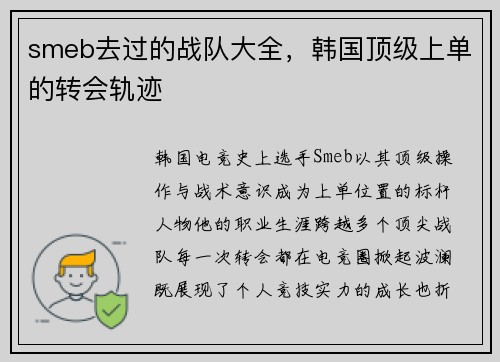 smeb去过的战队大全，韩国顶级上单的转会轨迹